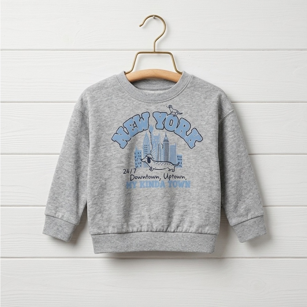Baby boy girl unisex size 18M Grey Sweatshirt pullover top Blue New York Graphic
